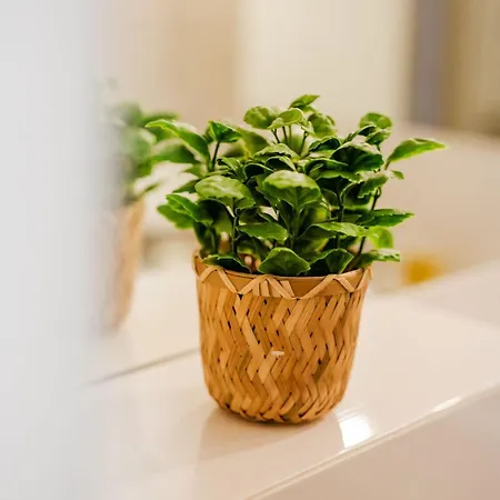 Orlove Apartman Łódź